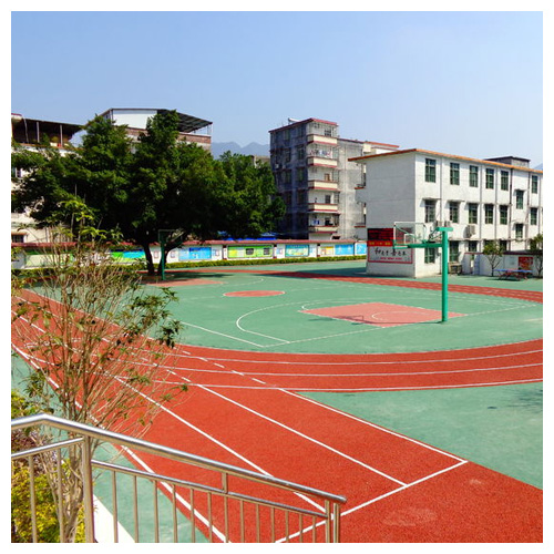 天津雷公坑小学复合型塑胶跑道